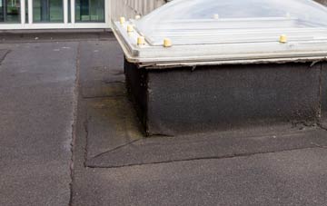disadvantages of High Dyke flat roofs